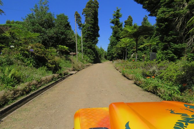 Madeira Highlights: Guided 4-Hour Tour from Funchal - Stop-by-stop: what you’ll actually do in 4 hours
