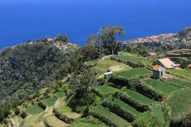 Madeira Highlights: Guided 4-Hour Tour from Funchal - The value of the “trails and old roads” part