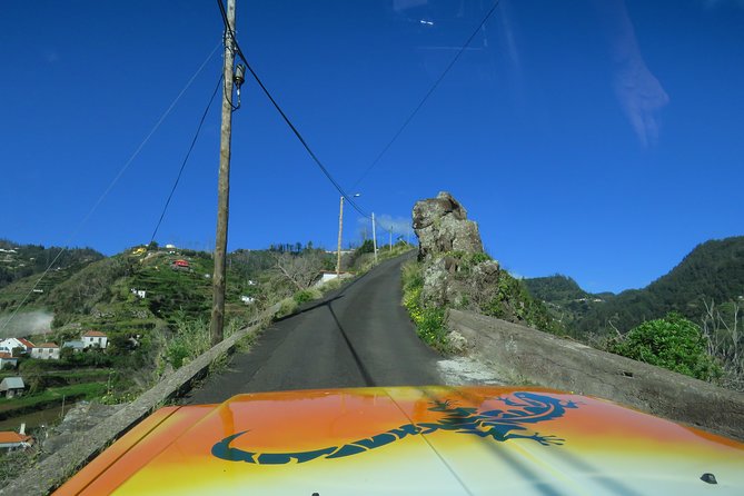 Madeira Highlights: Guided 4-Hour Tour from Funchal - Your guide and the vibe in the vehicle