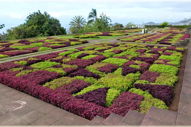 Madeira Highlights: Toboggan, Garden & Cable Car (All-Inclusive) - The Toboggan ride from Monte: fast fun with a real payoff