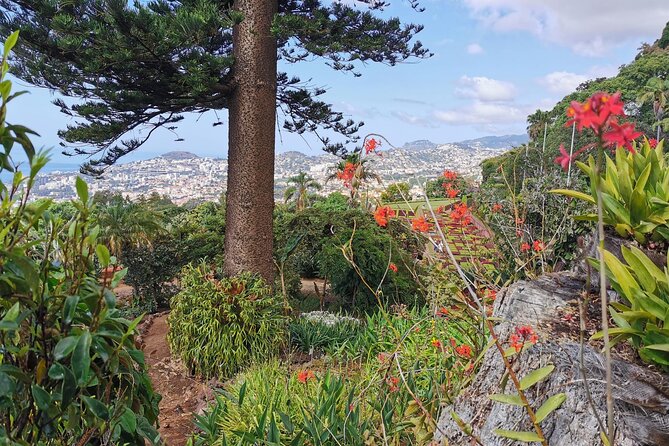 Madeira Highlights: Toboggan, Garden & Cable Car (All-Inclusive) - Who this Madeira highlights day suits best