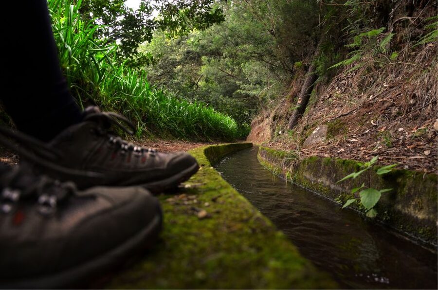 Madeira Island: Caldeirão Verde Levada Walk - Key things that make this walk special