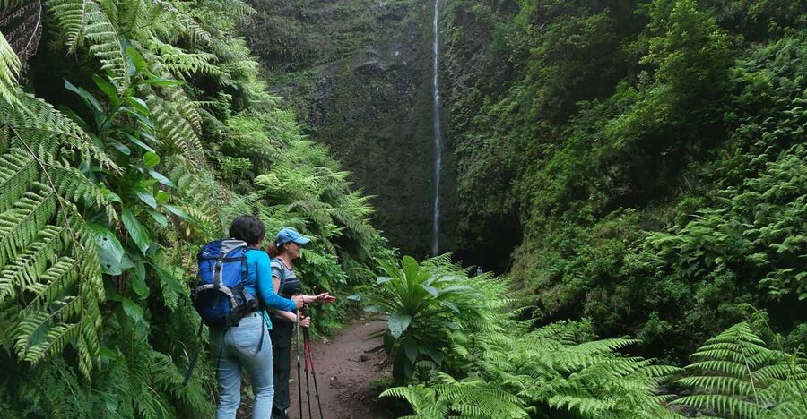 Madeira Island: Caldeirão Verde Levada Walk - Price and value: what you’re really paying for