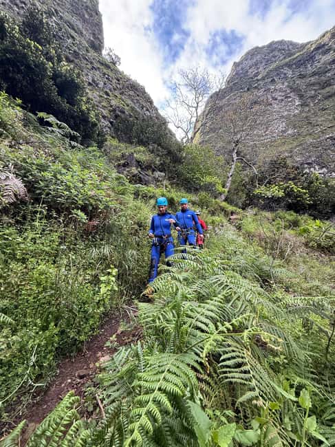 Madeira Island Canyoning Adventure - Who Should Book (and Who Should Think Twice)