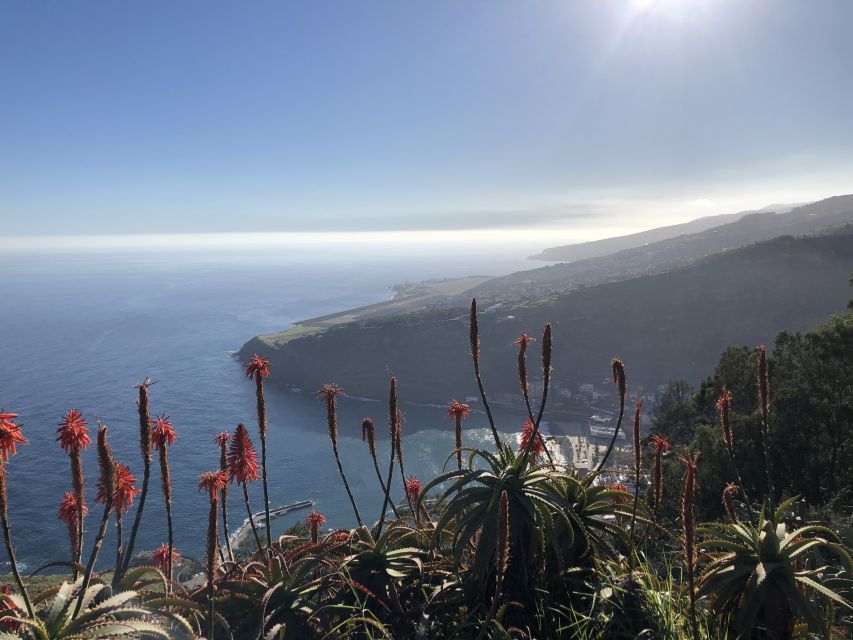 Madeira Island: Full-Day Guided Tour of Eastern Madeira - Miradouro stops and coastline drama: Guindaste and the sea views
