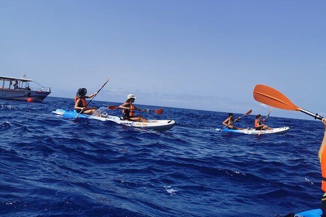 Madeira Island Kayak Experience - Kayaking from Funchal’s Marina toward Garajau