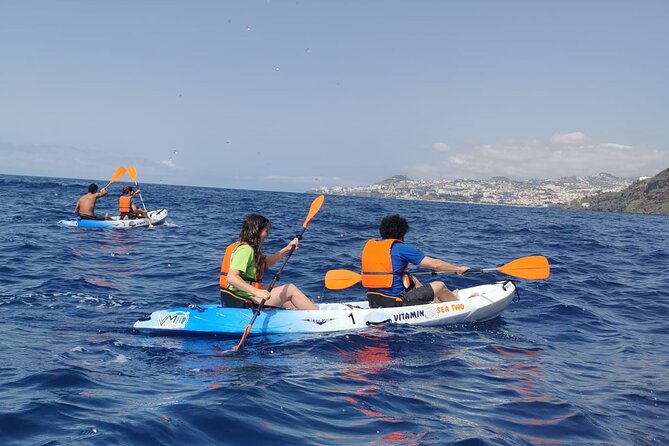 Madeira Island Kayak Experience - Small group size (max 16): the comfort factor