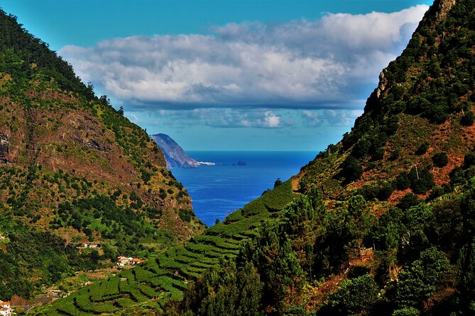 Madeira Island Private Wine Full-day Tour in all terrain vehicle - The private 4x4 experience on Madeira roads