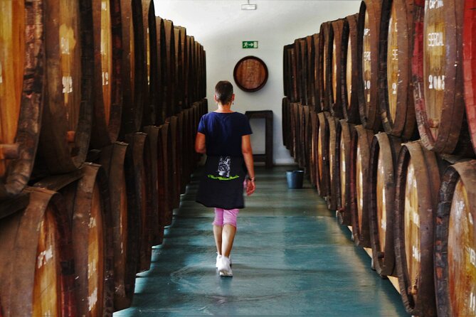Madeira Island Private Wine Full-day Tour in all terrain vehicle - São Vicente: cliffs, vineyards, and a slower Madeira pace