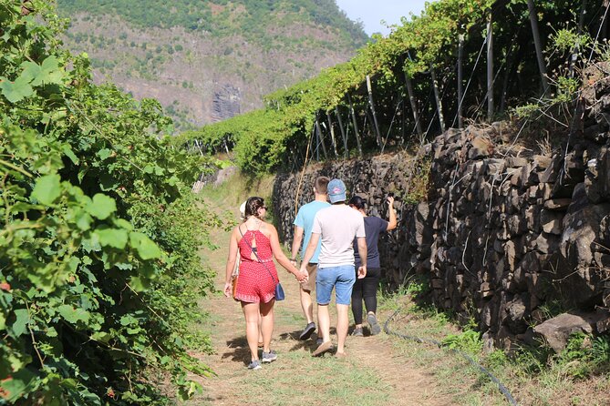 Madeira Island Private Wine Full-day Tour in all terrain vehicle - Henriques & Henriques: fortified Madeira aging and a real tasting session