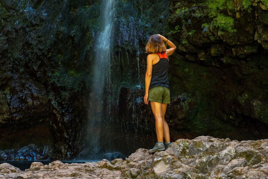Madeira: Jungle Fever Levada Caldeirao Verde Hike Santana - Key moments that make this tour worth your time