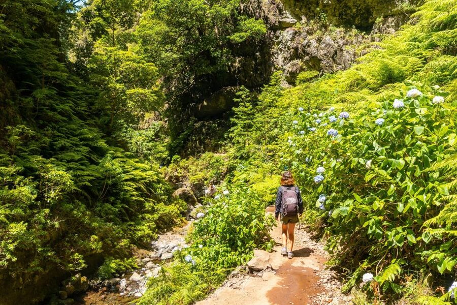 Madeira: Jungle Fever Levada Caldeirao Verde Hike Santana - Levada Caldeirão Verde: what makes this hike special in Madeira