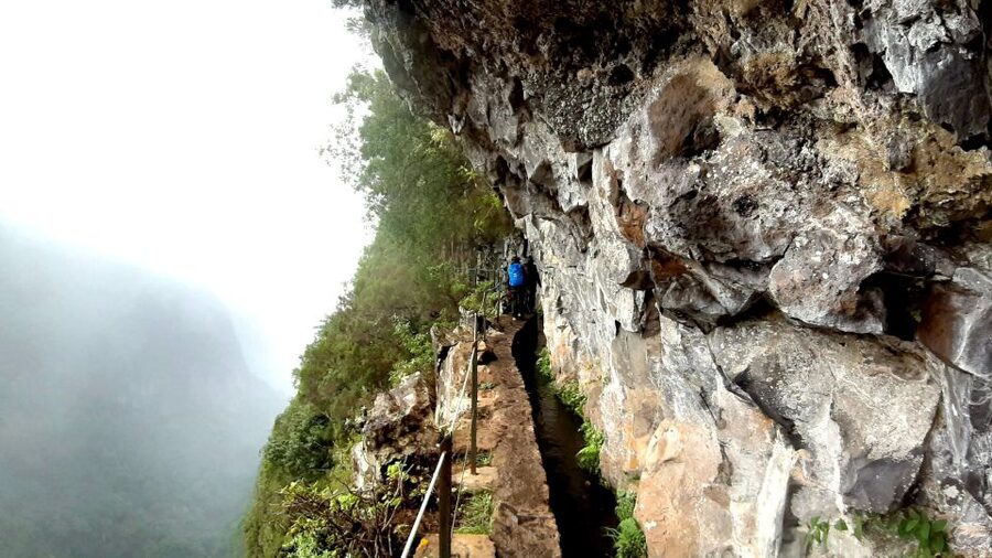 Madeira: Jungle Fever Levada Caldeirao Verde Hike Santana - Coffee at Casa das Queimadas: a smart warm-up before the forest work