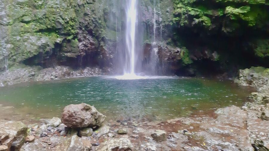 Madeira: Jungle Fever Levada Caldeirao Verde Hike Santana - The waterfall chase: what the trail feels like on the Levada section