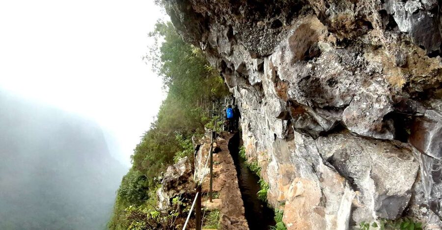 Madeira: Jungle Fever Levada Caldeirao Verde Hike Santana - Caldeirão Verde picnic: where the tour earns its keep