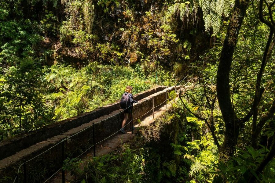 Madeira: Jungle Fever Levada Caldeirao Verde Hike Santana - Santana traditional houses: culture that doesn’t feel rushed