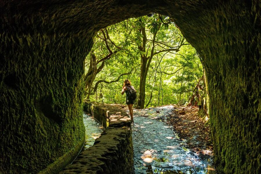 Madeira: Jungle Fever Levada Caldeirao Verde Hike Santana - Getting from Funchal to the start: the ride that keeps the day smooth