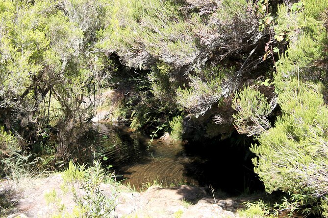 Madeira Lakes - Levada do Alecrim - Key points worth knowing before you go