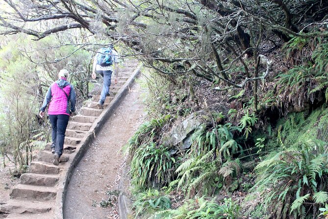 Madeira Lakes - Levada do Alecrim - What to bring for a 6–7 hour forest-and-valley hike