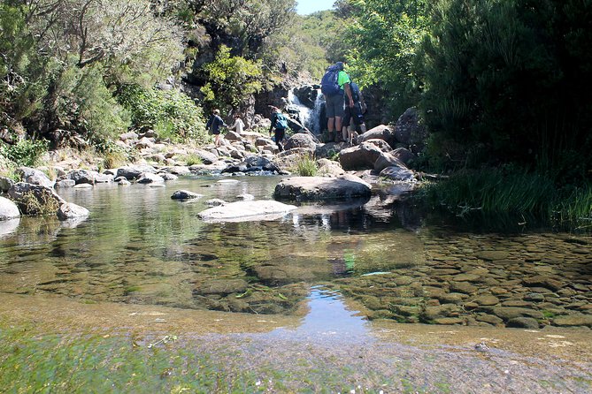 Madeira Lakes - Levada do Alecrim - Getting picked up in Funchal (and what to expect from the schedule)