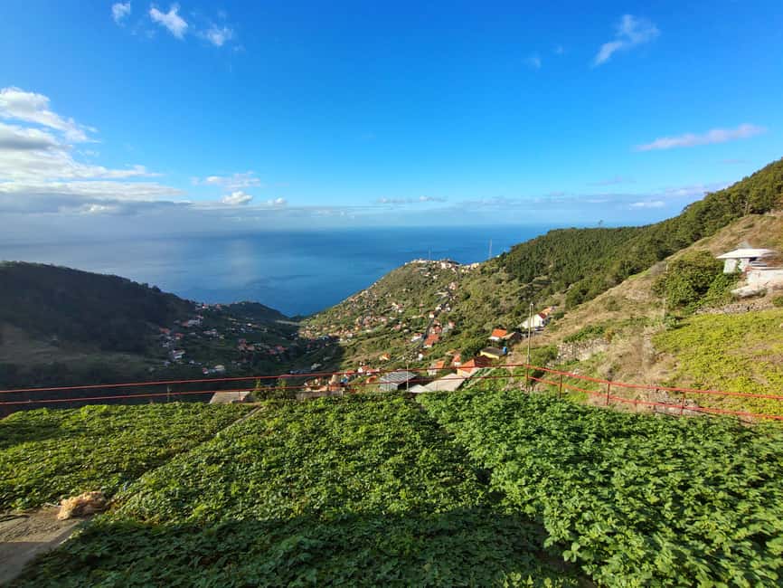 Madeira: Levada Paths of Water, People, and Tradition - Valleys, agriculture, and terraces: bananas, vineyards, and hand work