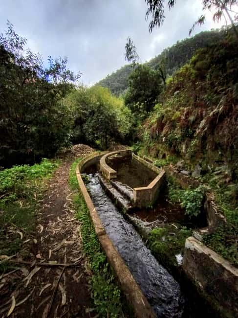 Madeira: Levada Paths of Water, People, and Tradition - Pacing, what to bring, and how to stay comfortable