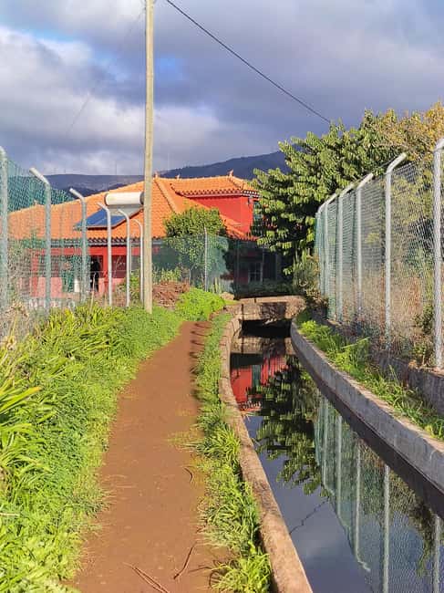 Madeira: Levada Paths of Water, People, and Tradition - Who this tour suits best (and who should skip it)