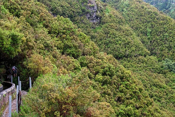 Madeira Levada Walk - Rabacal Lakes and Fountains - Levada Walking Through Madeira’s Laurisilva Forest