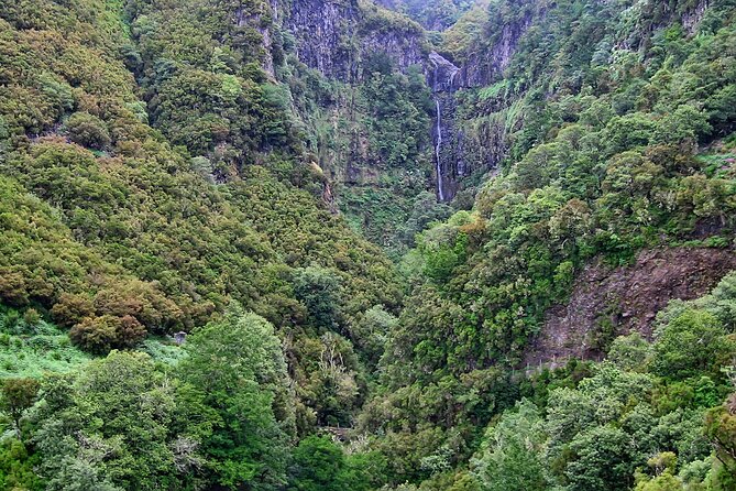 Madeira Levada Walk - Rabacal Lakes and Fountains - Price and Value: What $52.86 Gets You (and What Doesn’t)