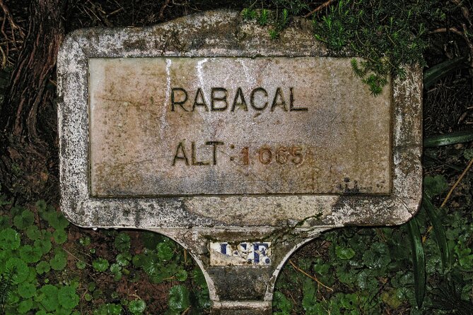 Madeira Levada Walk - Rabacal Lakes and Fountains - Should You Book This Madeira Levada Walk?