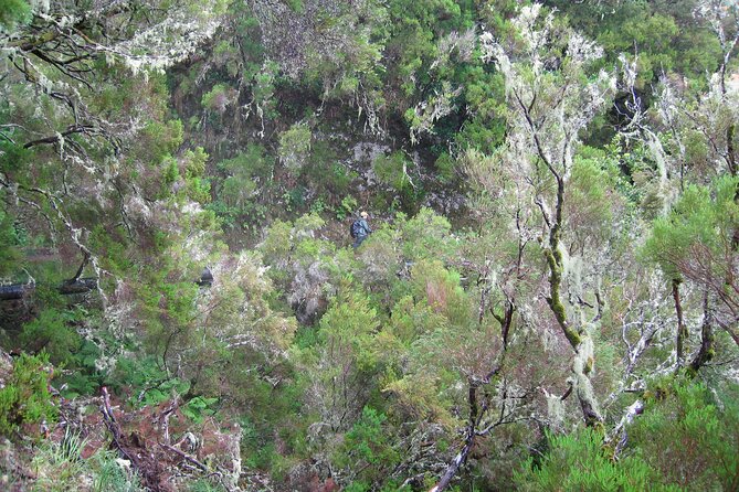 Madeira Levada Walk - Rabacal Lakes and Fountains - Rabacal’s 25 Fontes: Waterfalls, Fountains, and the Crowd Factor
