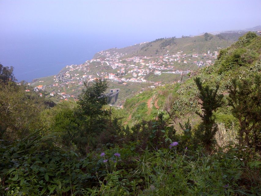 Madeira: Levado do Norte 2-Hour Hiking Tour - The “easy” part: what 7 km feels like in real life