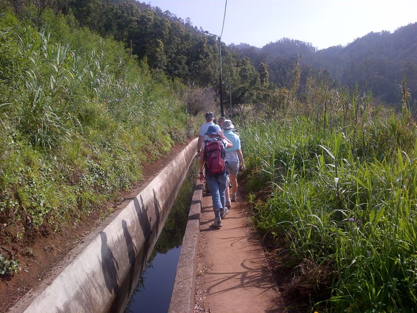 Madeira: Levado do Norte 2-Hour Hiking Tour - Food and drinks: what you should plan for
