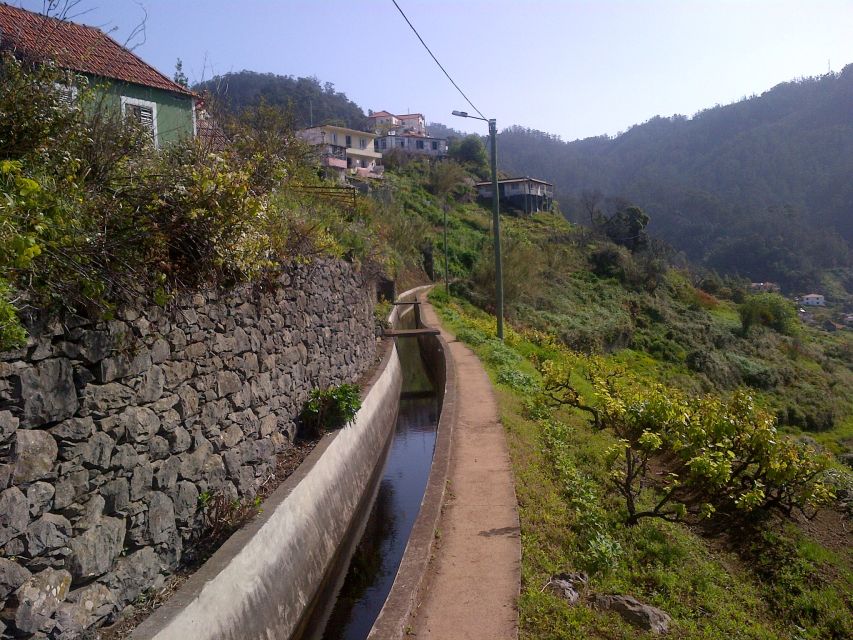 Madeira: Levado do Norte 2-Hour Hiking Tour - Price and value: is $33 worth it?