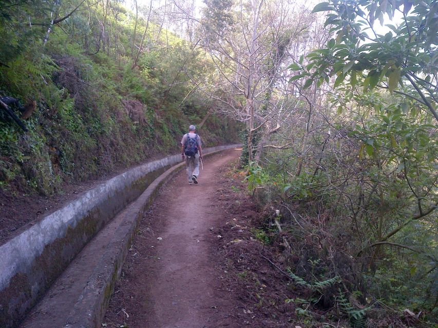 Madeira: Levado do Norte 2-Hour Hiking Tour - Getting there: hotel pickup and how to avoid timing surprises