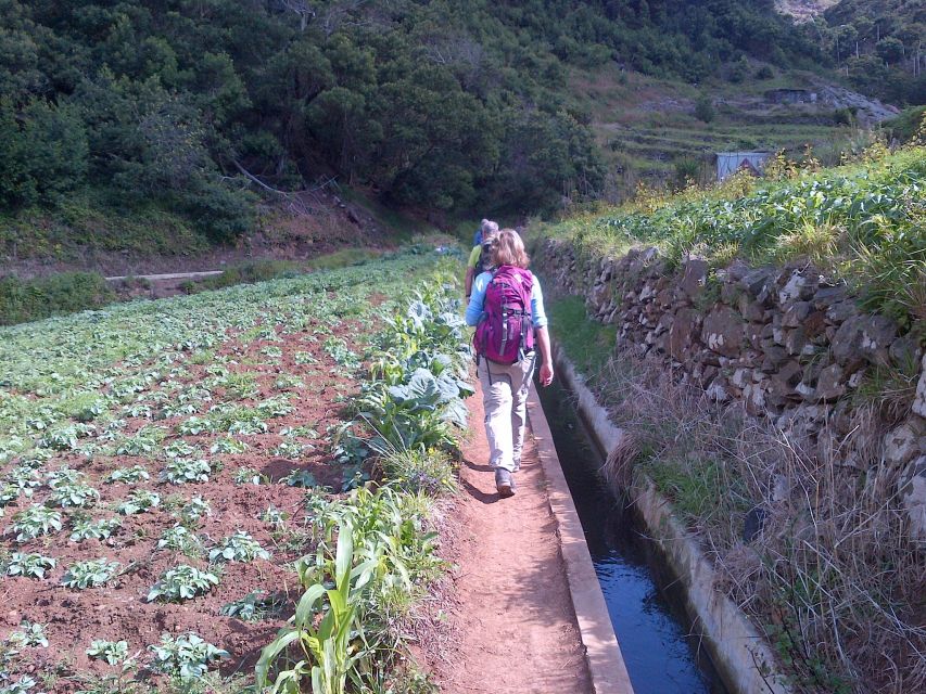 Madeira: Maroços Landscapes 2.5-Hour Guided Walk - A Levada Walk Between Machico Valleys and Terraces