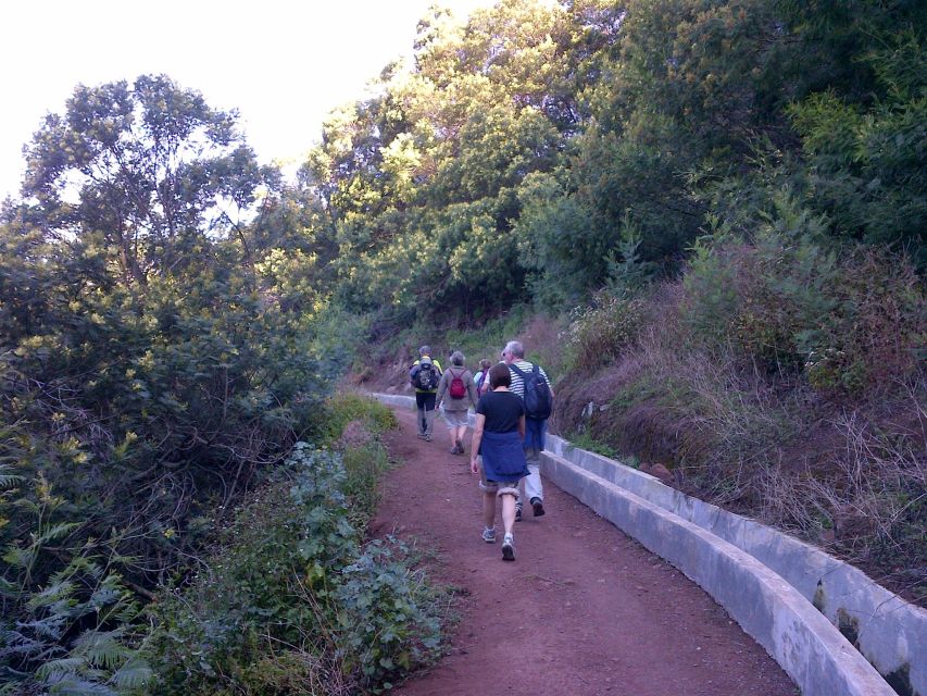 Madeira: Maroços Landscapes 2.5-Hour Guided Walk - Flowers, Fruit, and Real-World Color Along the Route