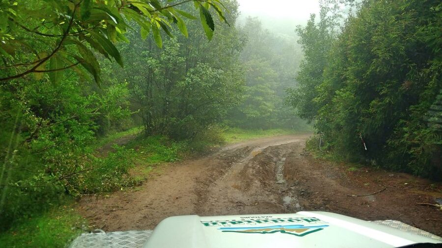 Madeira: Mini-Combo East Challenge: Jeep Safari + Levada - Key Highlights You’ll Feel Fast