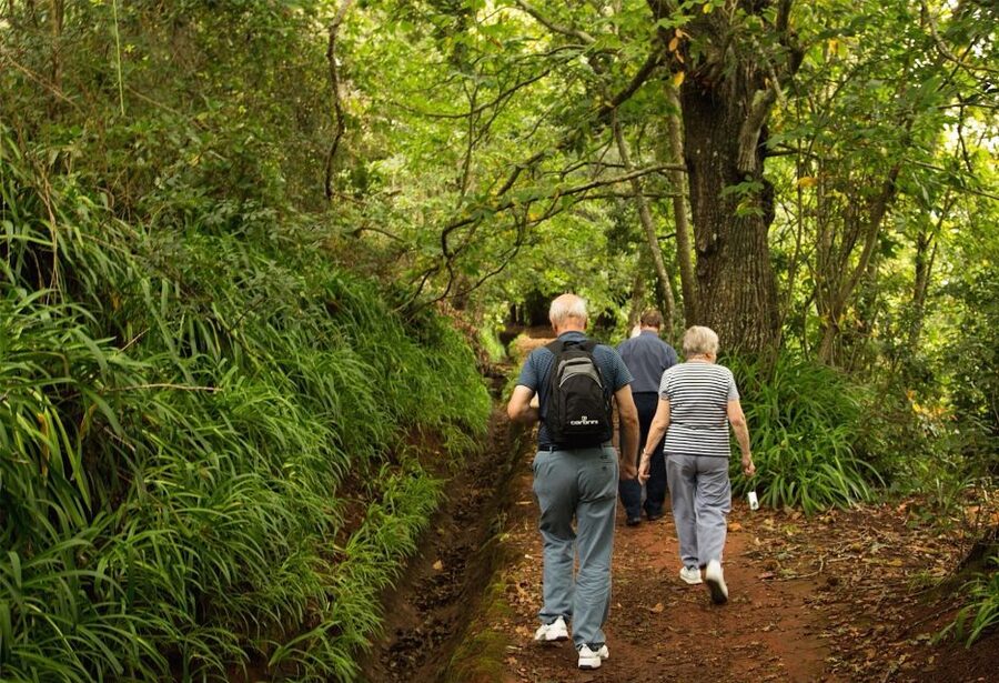 Madeira: Mini-Combo East Challenge: Jeep Safari + Levada - Guide Energy Makes a Real Difference (Jazz and Victor as Examples)