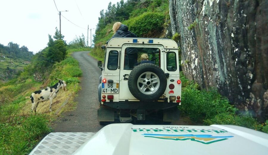 Madeira: Mini-Combo East Challenge: Jeep Safari + Levada - The Jeep Safari Route: Funchal, Camacha, Morena, Santo da Serra, Machico
