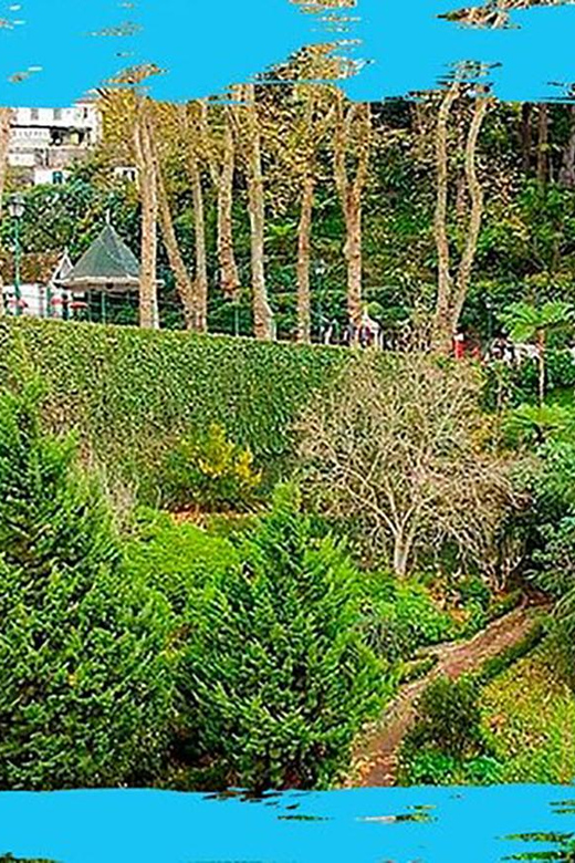Madeira: Monte Toboggan & Old Town Guided Tuk Tour by MadTuk - The toboggan ride: the thrill moment, plus the practical reality