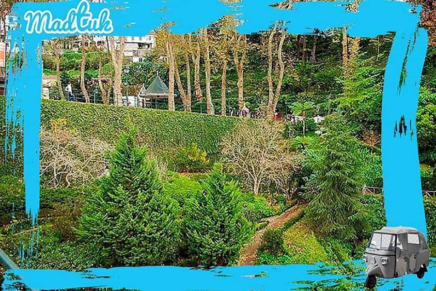 Madeira: Monte Toboggan & Old Town Guided Tuk Tour by MadTuk - Getting from Funchal to Monte: comfort, viewpoints, and real convenience