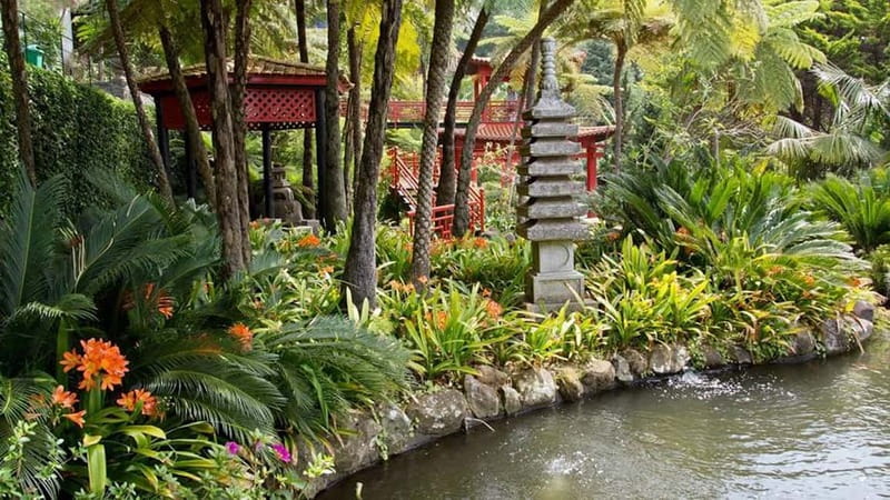Madeira: Monte Tropical Garden + Old Town Tuk Tour by MadTuk - A tuk-tuk climb from Funchal: Monte at about 550 meters
