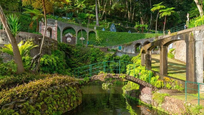 Madeira: Monte Tropical Garden + Old Town Tuk Tour by MadTuk - Funchal context: pass-by sights and a farmers’ market break