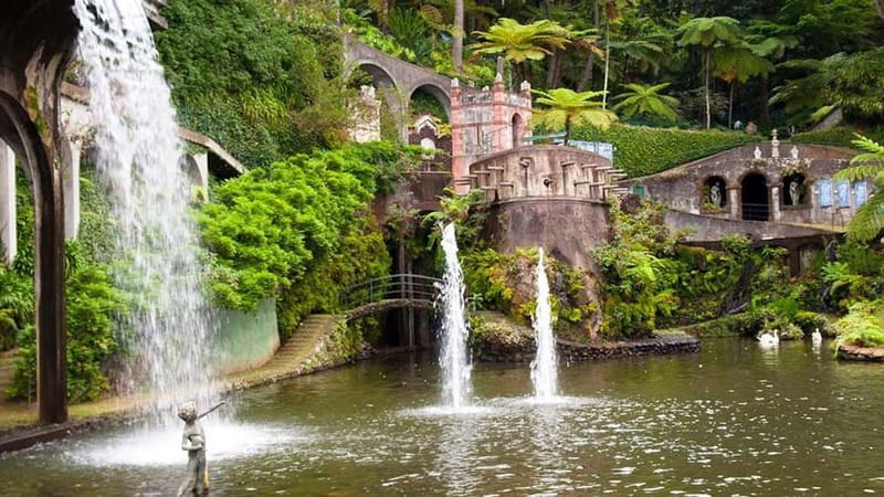 Madeira: Monte Tropical Garden + Old Town Tuk Tour by MadTuk - Price and what you’re really paying for at $56 per person