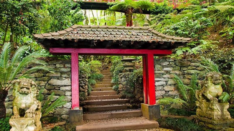 Madeira: Monte Tropical Garden + Old Town Tuk Tour by MadTuk - Timing, logistics, and comfort details that matter