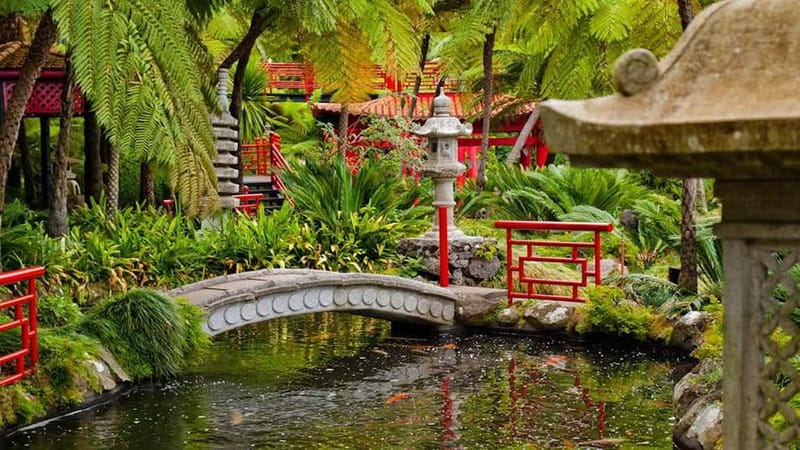 Madeira: Monte Tropical Garden + Old Town Tuk Tour by MadTuk - Tips to make the most of your 2.5 hours