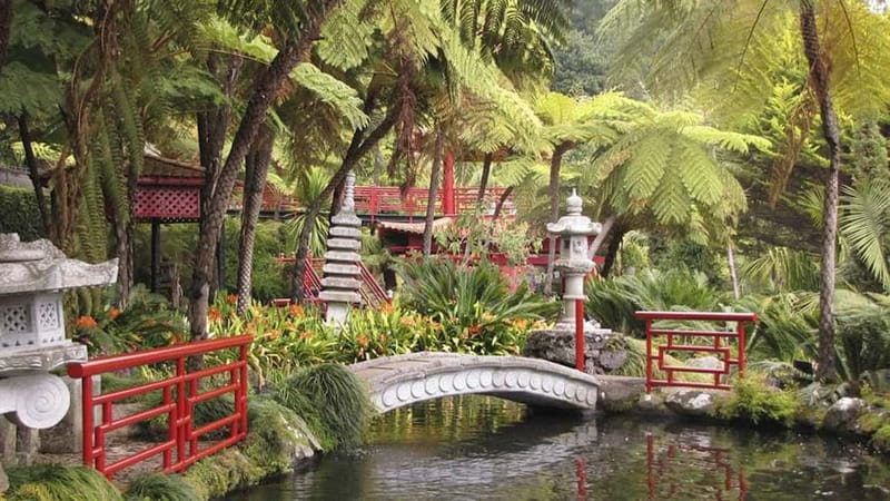 Madeira: Monte Tropical Garden + Old Town Tuk Tour by MadTuk - Who this tour suits best