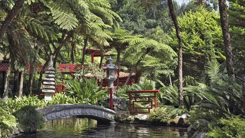 Madeira: Monte Tropical Garden + Old Town Tuk Tour by MadTuk - Monte Palace Tropical Garden: plants, water, and Portuguese tile-style art