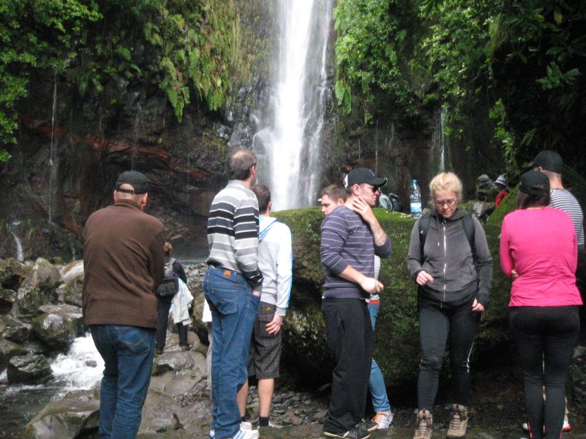 Madeira: Mountain Walk with Lagoon and Waterfalls - Key things that make this Madeira hike work